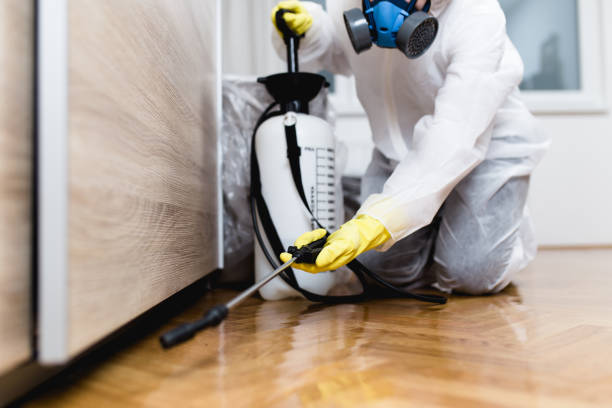 Best Pest Control for Homes  in Oak Grove, TN