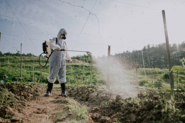 Best Best Pest Control Companies  in Oak Grove, TN