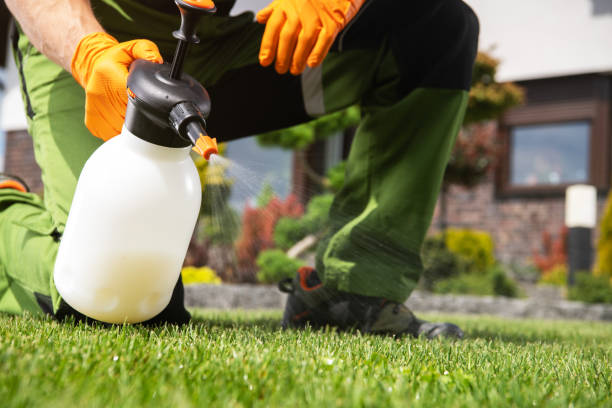 Best Affordable Pest Control Services  in Oak Grove, TN