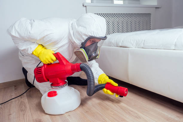 Best Emergency Pest Control  in Oak Grove, TN