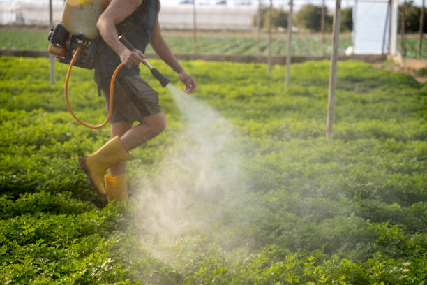 Best Pest Prevention Services  in Oak Grove, TN