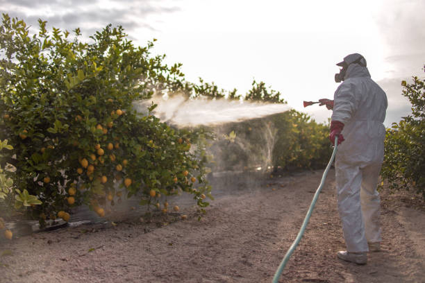 Pest Control Cost in Oak Grove, TN